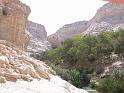Dscja0169 (125)